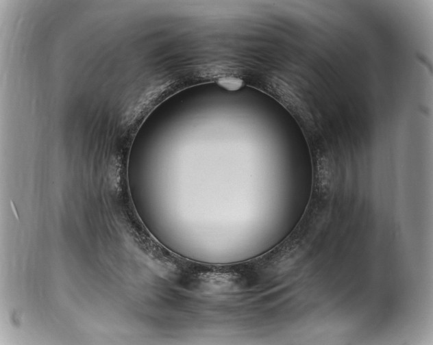 X0000102250255200807251328