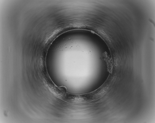 X0000102250256200807251328