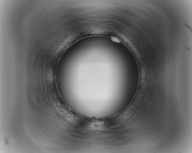X0000102250257200807251329