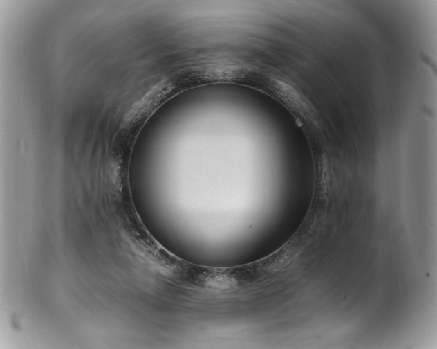 X0000102250258200807251329