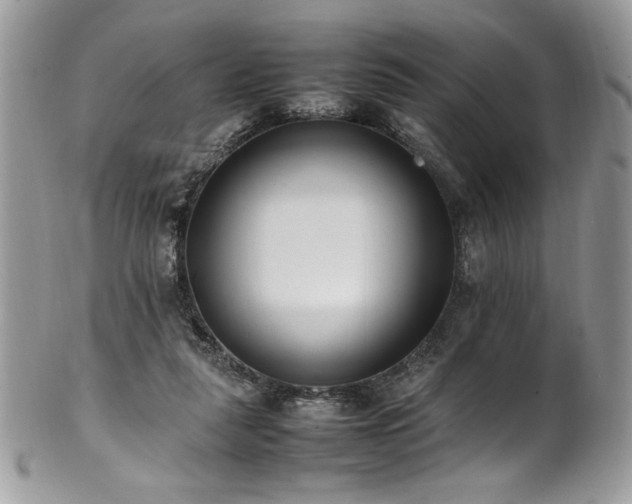 X0000102250259200807251329