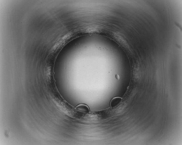 X0000102250260200807251329