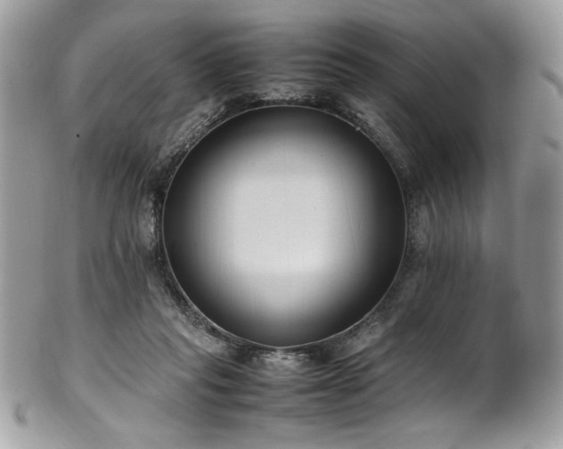 X0000102250261200807251329