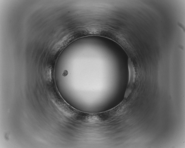 X0000102250262200807251329