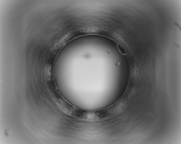 X0000102250264200807251329
