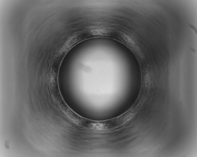 X0000102250265200807251329