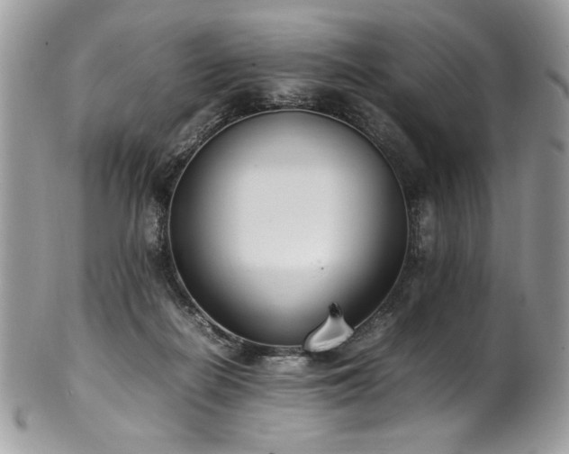 X0000102250266200807251329