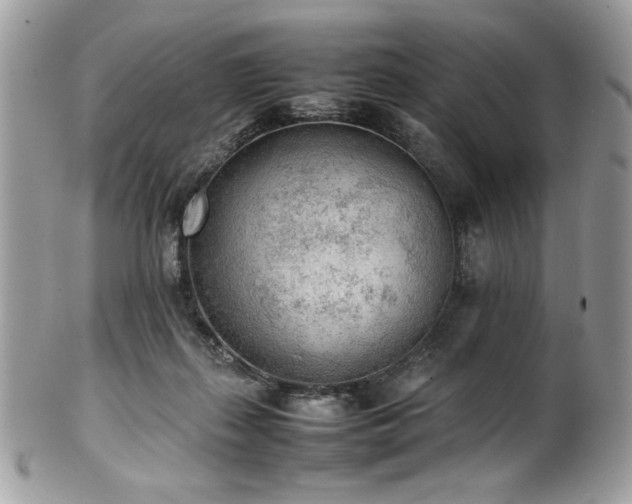 X0000102250267200807251329