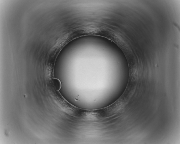 X0000102250268200807251329