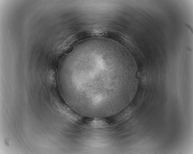 X0000102250270200807251329
