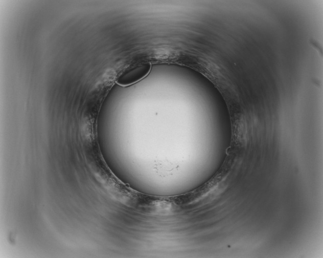 X0000102250272200807251329