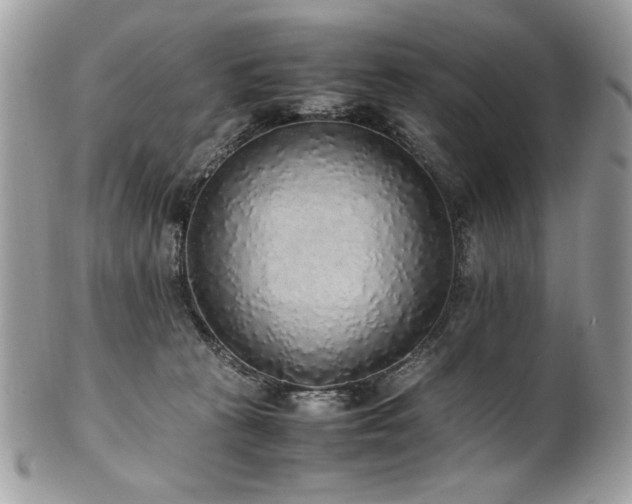 X0000102250273200807251329