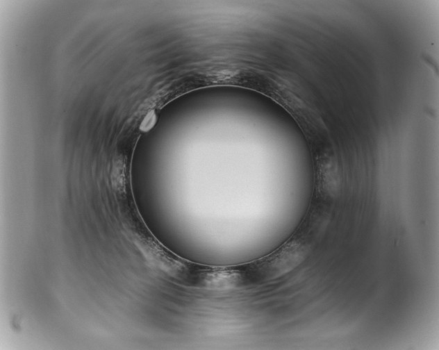 X0000102250274200807251329
