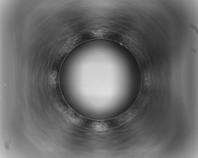 X0000102250275200807251329