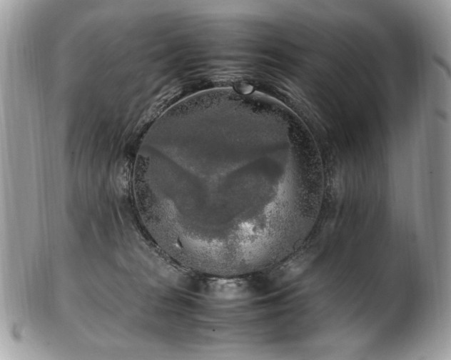 X0000102250277200807251329