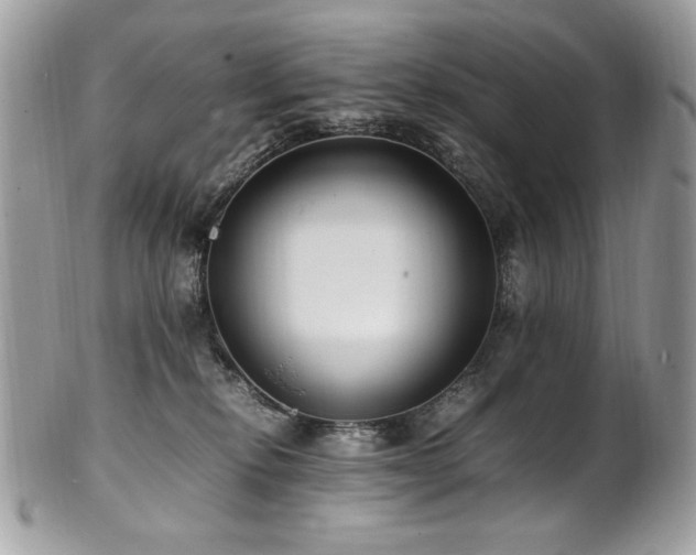 X0000102250278200807251329