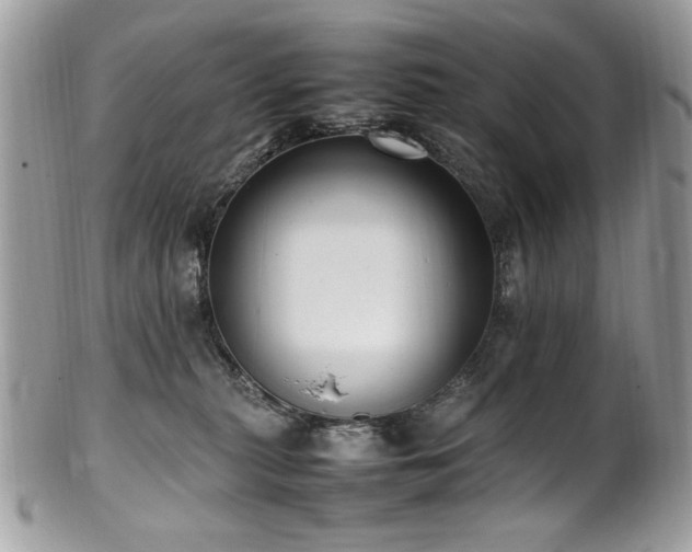 X0000102250279200807251329