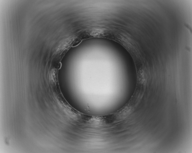 X0000102250280200807251329