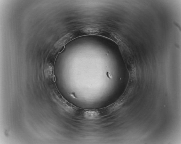 X0000102250281200807251329