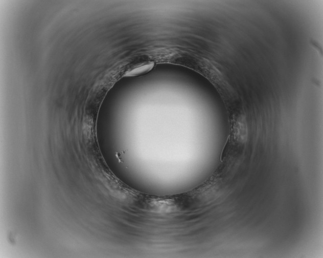X0000102250283200807251329