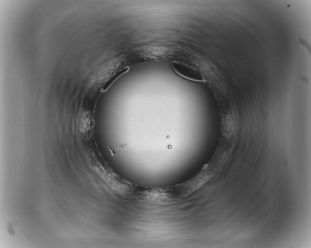 X0000102250284200807251329