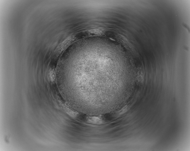 X0000102250285200807251329