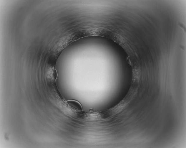 X0000102250286200807251329