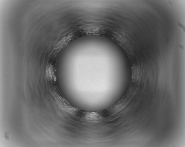 X0000102250287200807251329