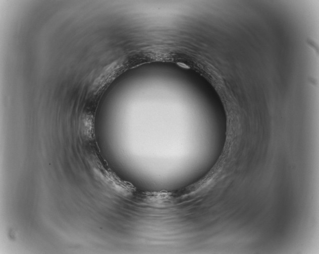 X0000102250288200807251329