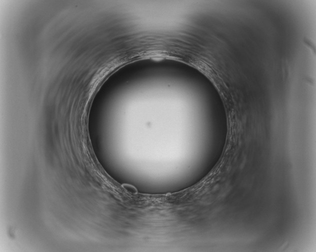 X0000102250289200807251328
