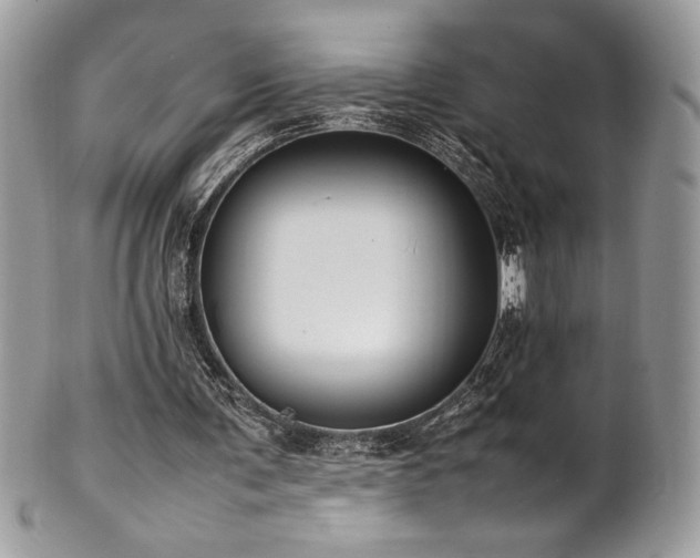 X0000102250291200807251328