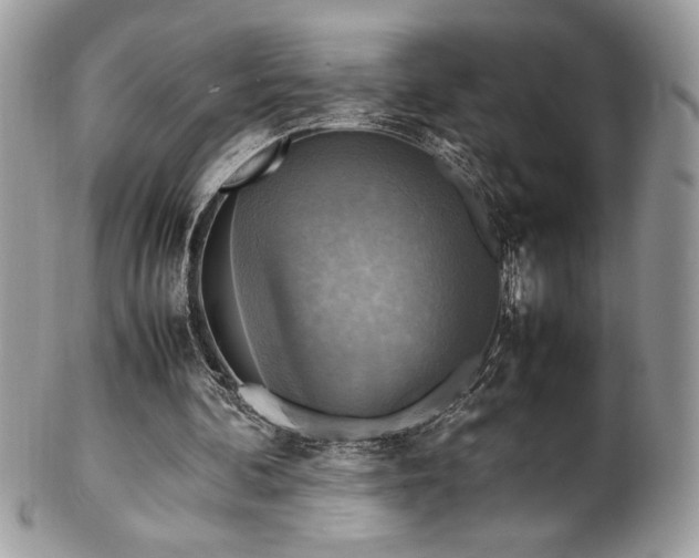 X0000102250292200807251328