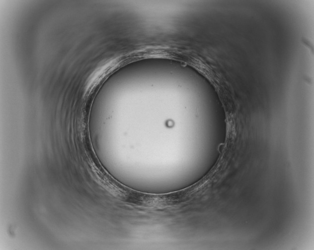 X0000102250293200807251328