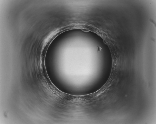 X0000102250294200807251328