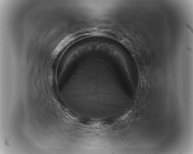 X0000102250295200807251328