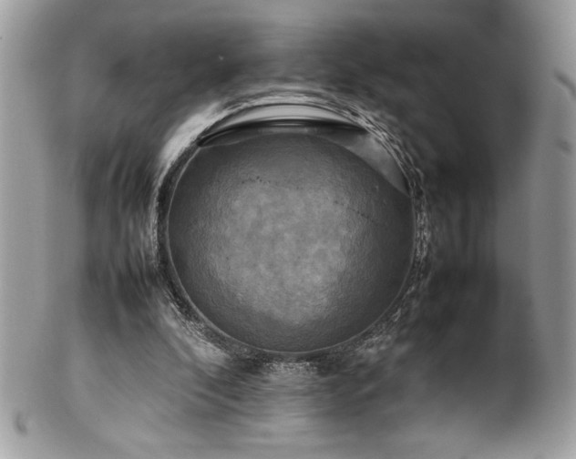 X0000102250296200807251328