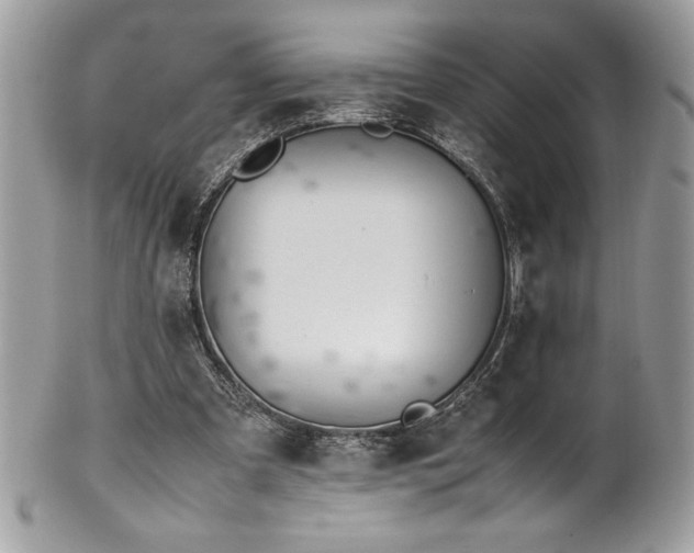 X0000102250297200807251328