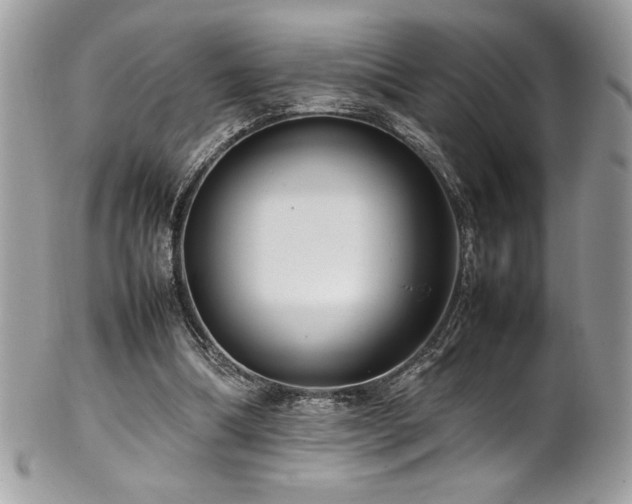 X0000102250298200807251328