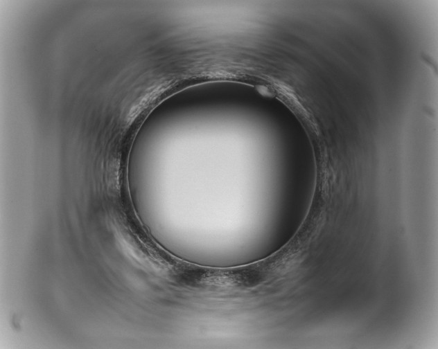 X0000102250299200807251328