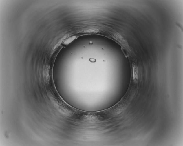 X0000102250300200807251328
