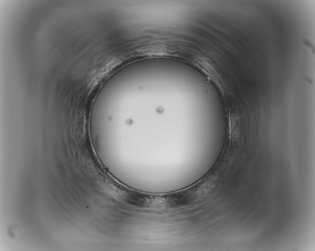 X0000102250301200807251328