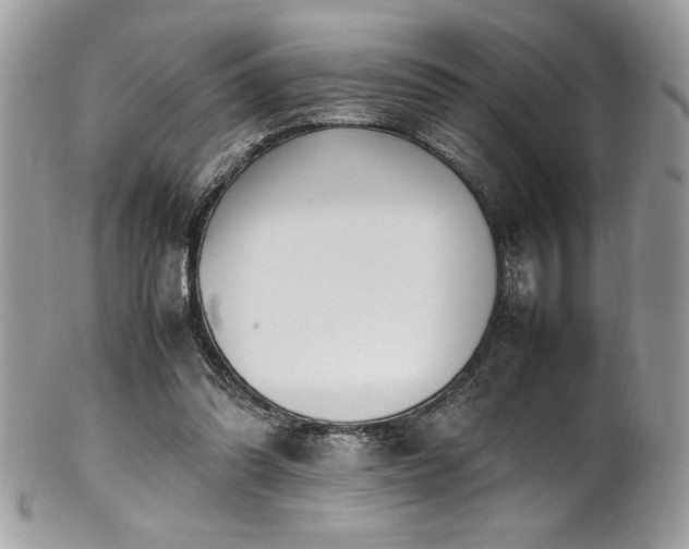 X0000102250302200807251328