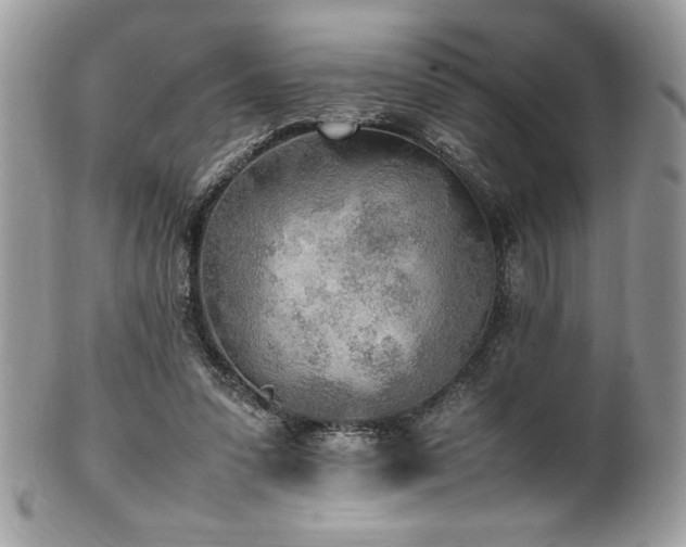 X0000102250303200807251328