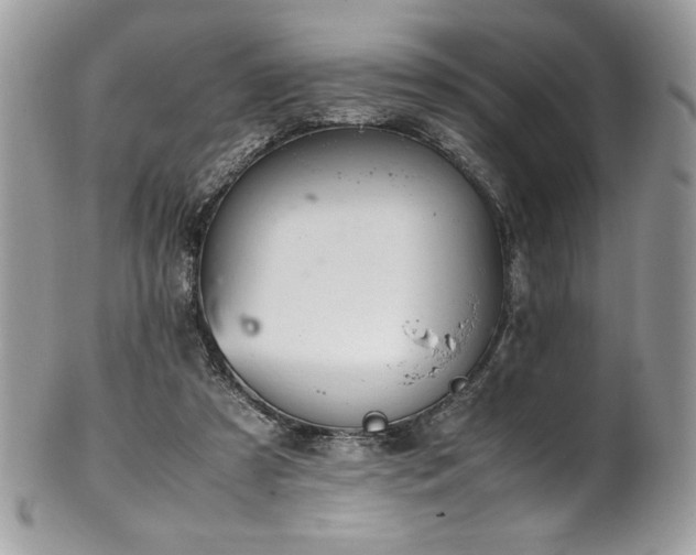 X0000102250305200807251328