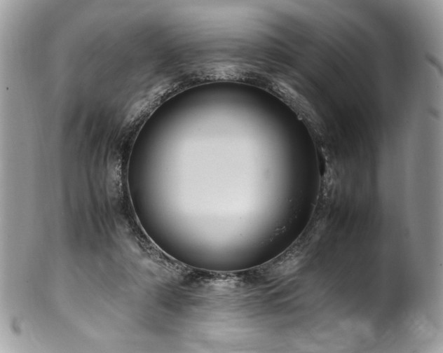 X0000102250306200807251328