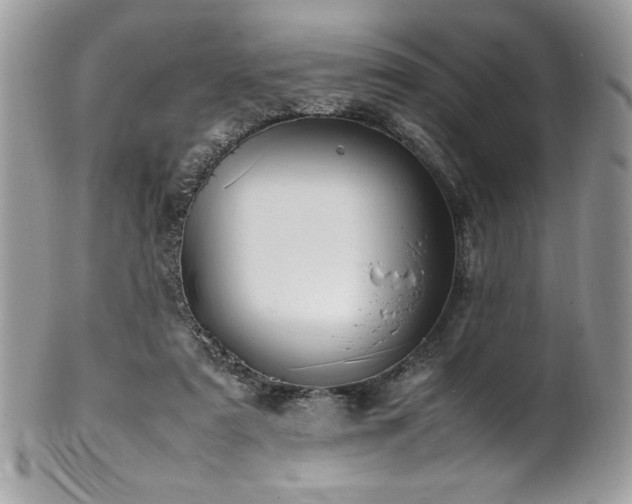 X0000102250307200807251328
