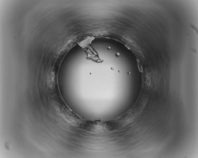 X0000102250308200807251328