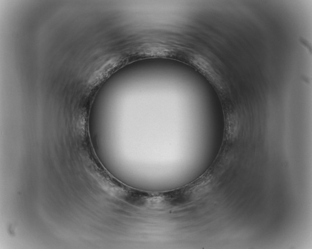 X0000102250309200807251328