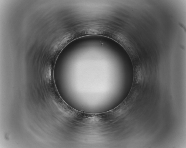 X0000102250310200807251328