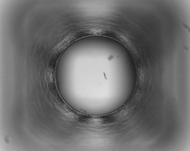 X0000102250313200807251328